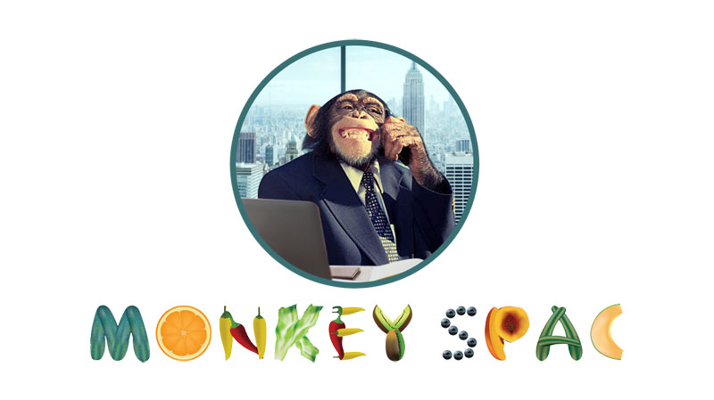 Monkey SPAC | Marc Deschenaux- Financial Jurist - Official Website
